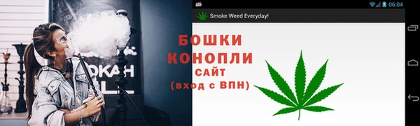 молекула духа Горнозаводск
