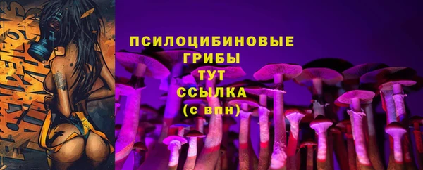 молекула духа Горнозаводск