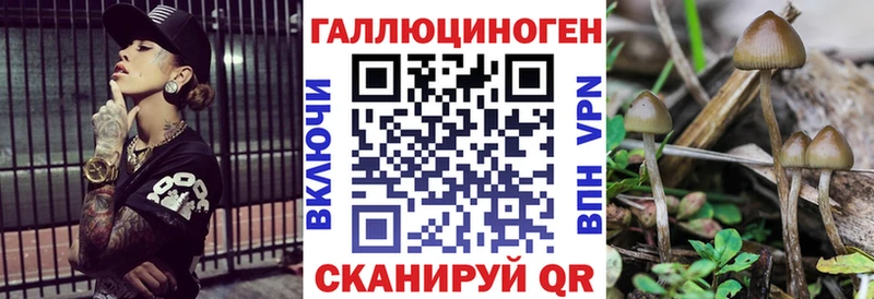 Псилоцибиновые грибы прущие грибы Купить где Мамадыш